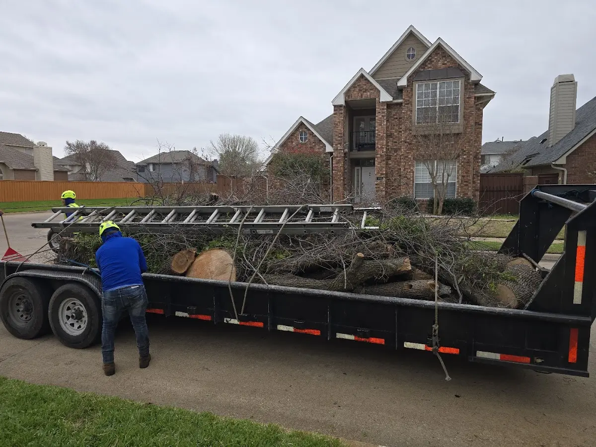 Expert Tree Fertilization with proper safety equipment in Presho